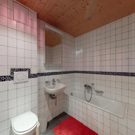 Apartment In Nendaz On Ski Slopes Vakantiehuis